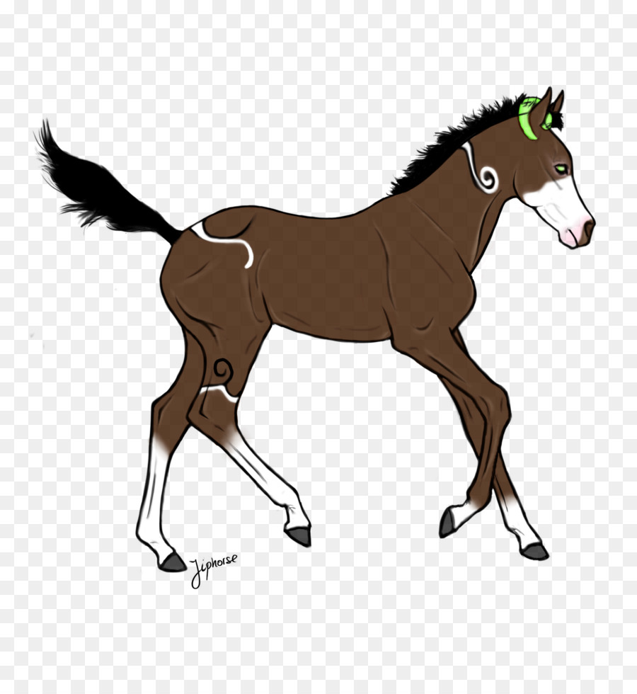 Caballo，Equino PNG