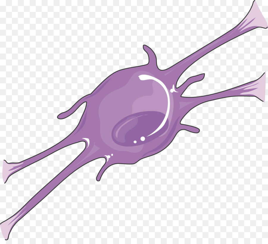 Neurona，Celúla PNG