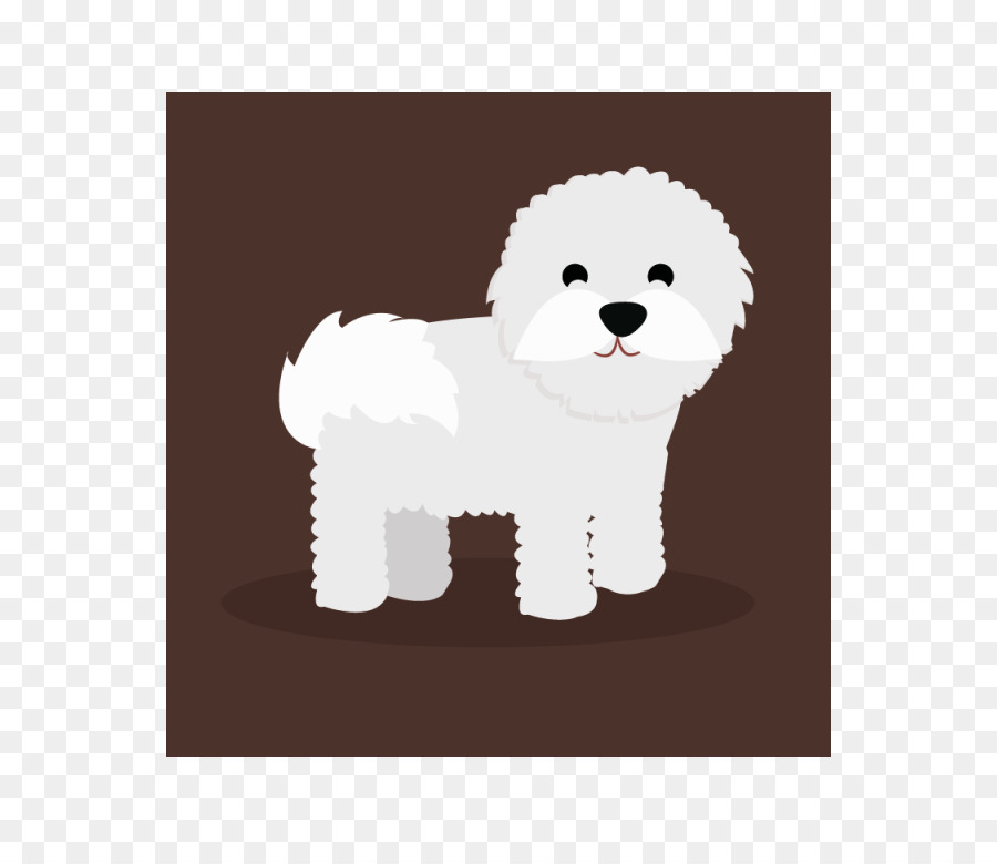 Cachorro，Bichon Frize PNG