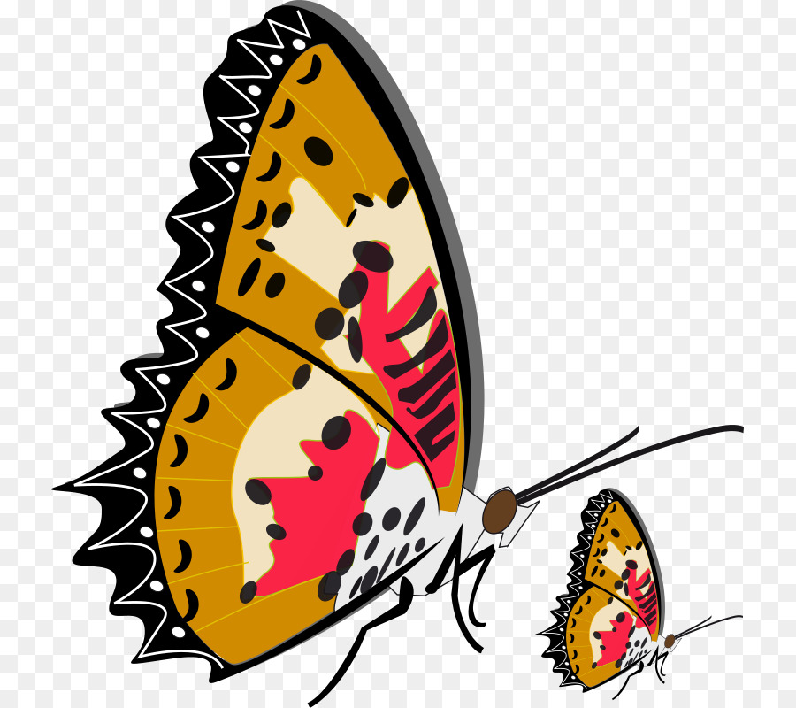 Ilustración De Mariposa，Insecto PNG