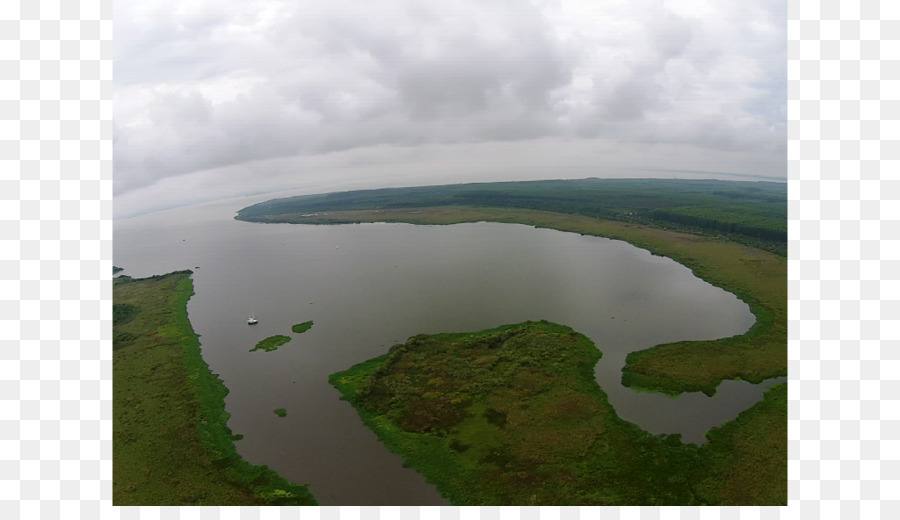 Los Recursos De Agua，Ecosistema PNG