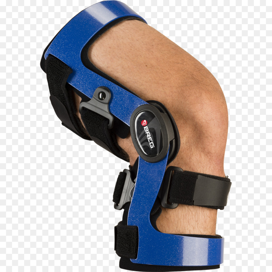 La Rodilla，Ligamento Cruzado Anterior PNG