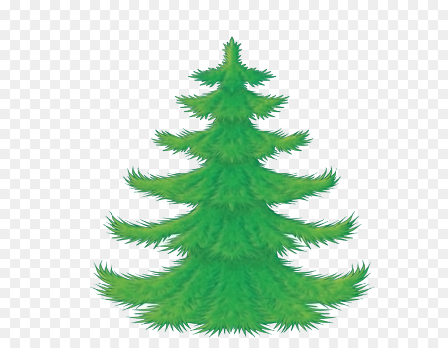 Árbol，Naturaleza PNG