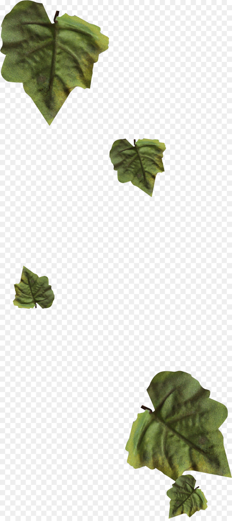 Hoja，Garland PNG