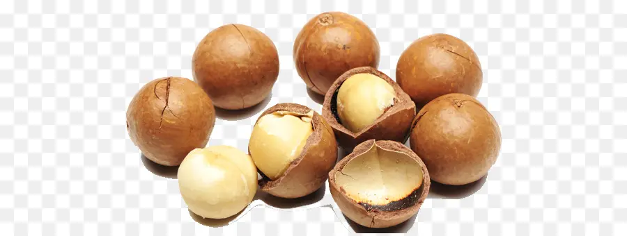 Macadamia，Cocina Australiana PNG