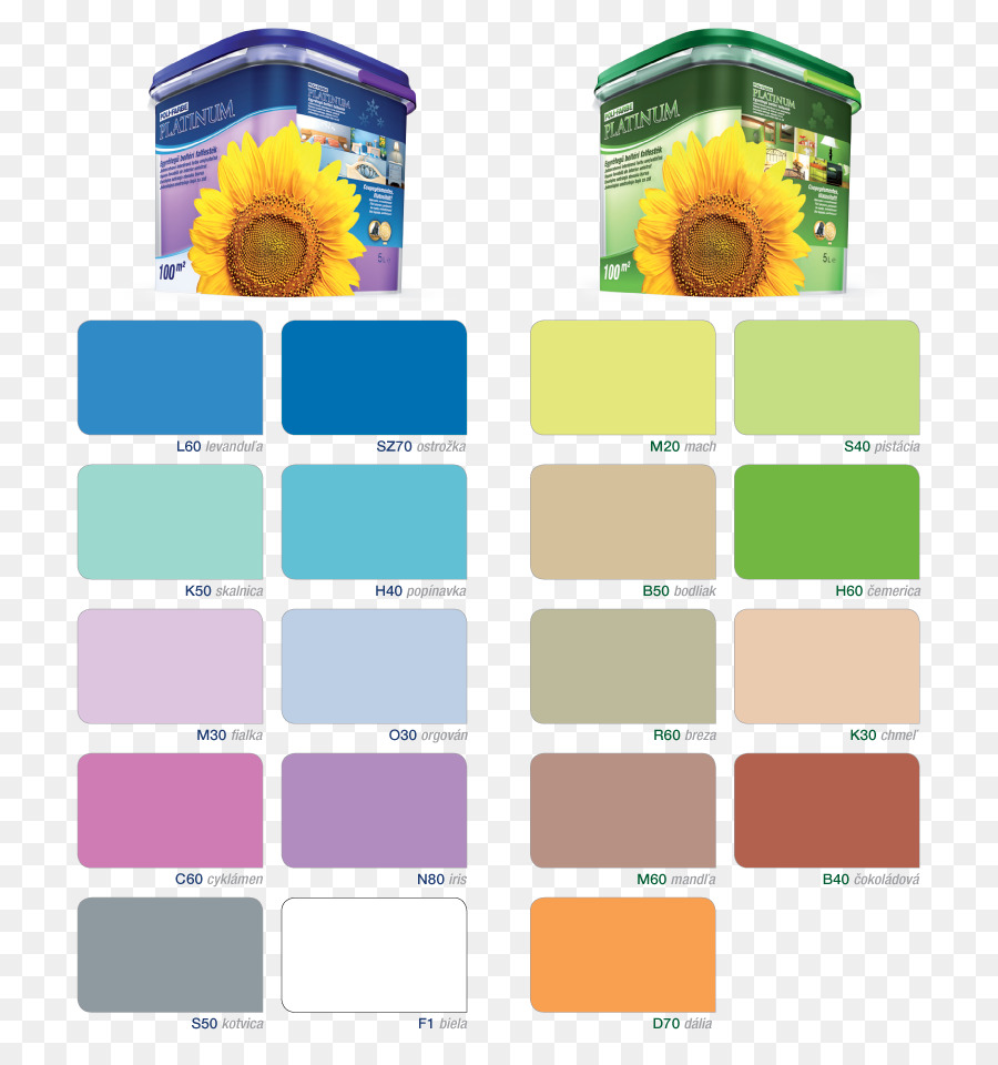 Pintura，Color PNG