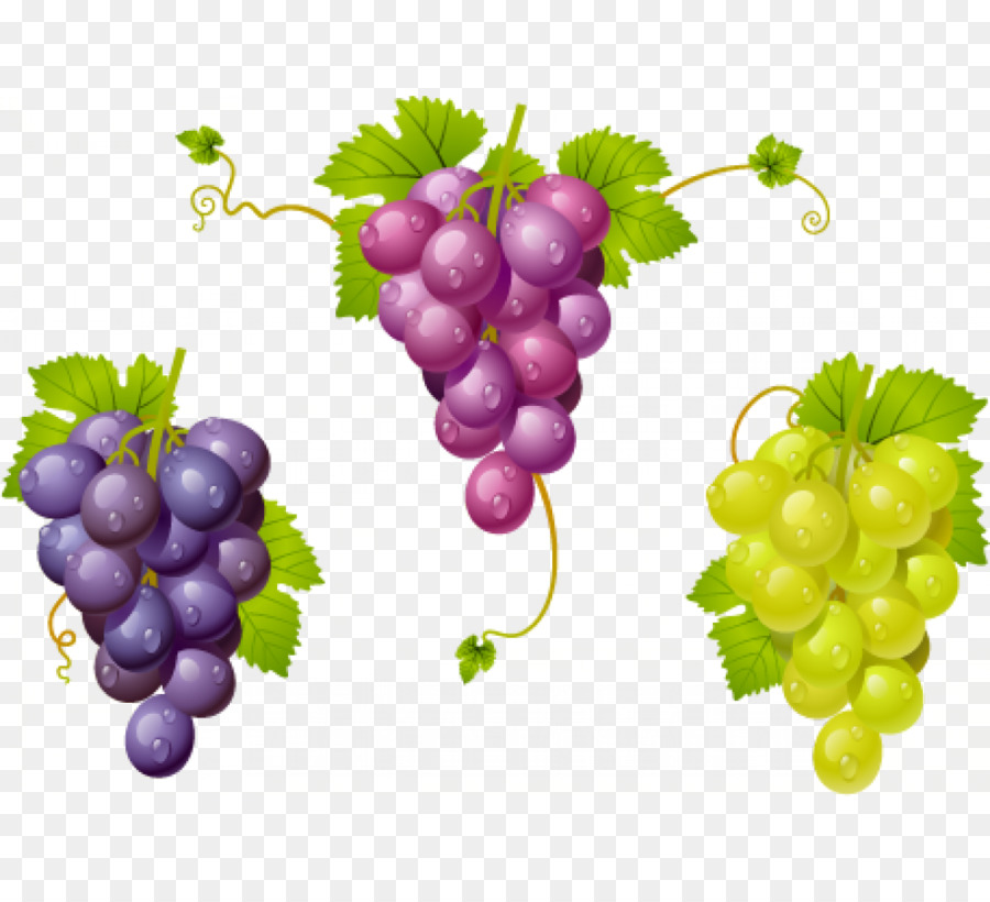 Uvas Moradas，Hojas PNG