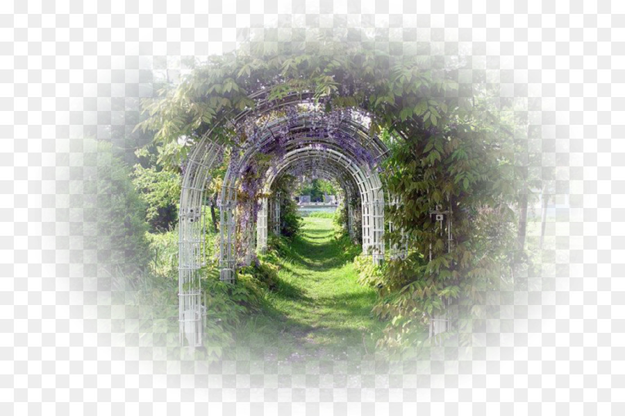 Arco Del Jardín，Verdor PNG