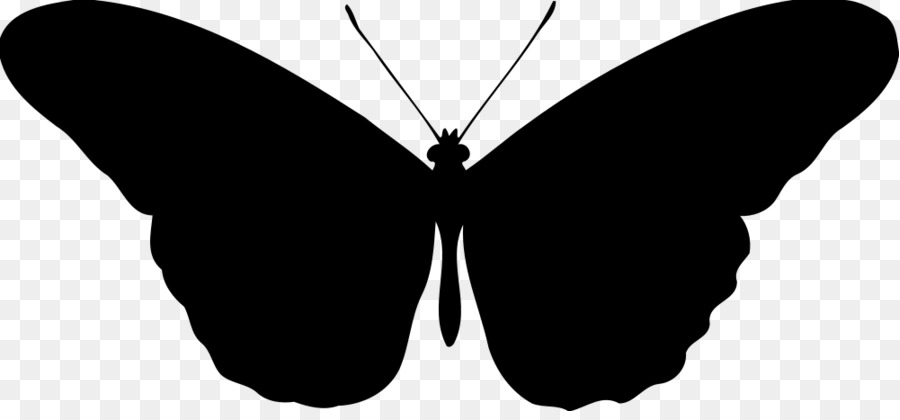 Mariposa，Silueta PNG