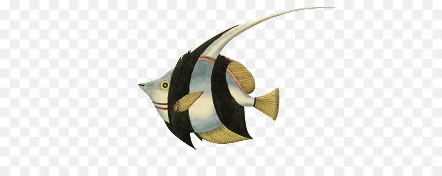 Ilustración De Peces，Marina PNG