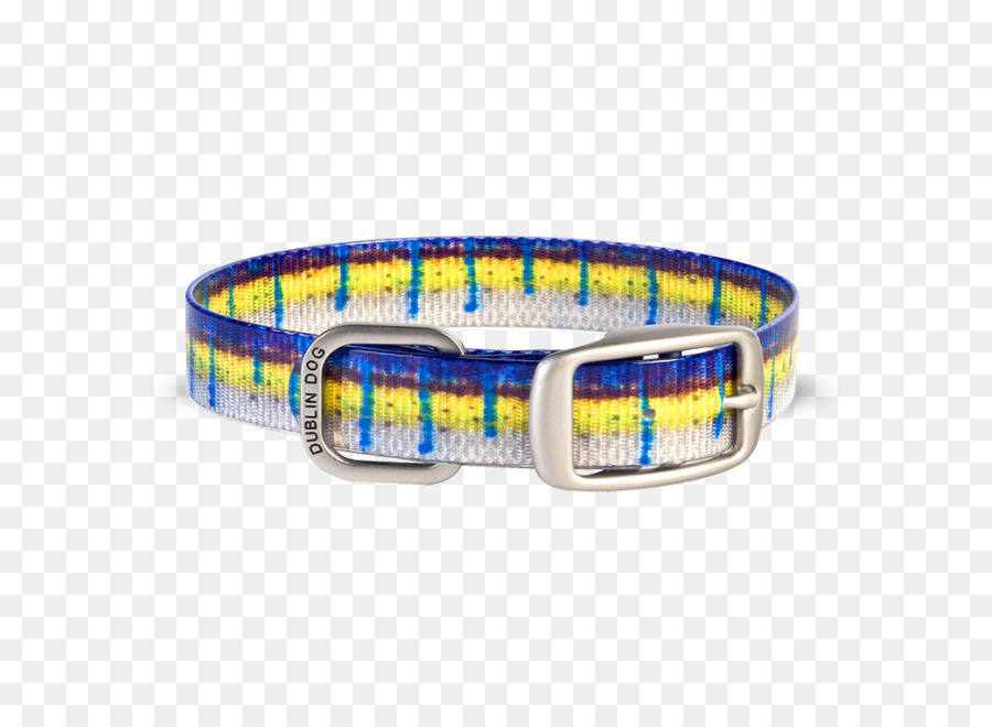 Perro，Collar De Perro PNG