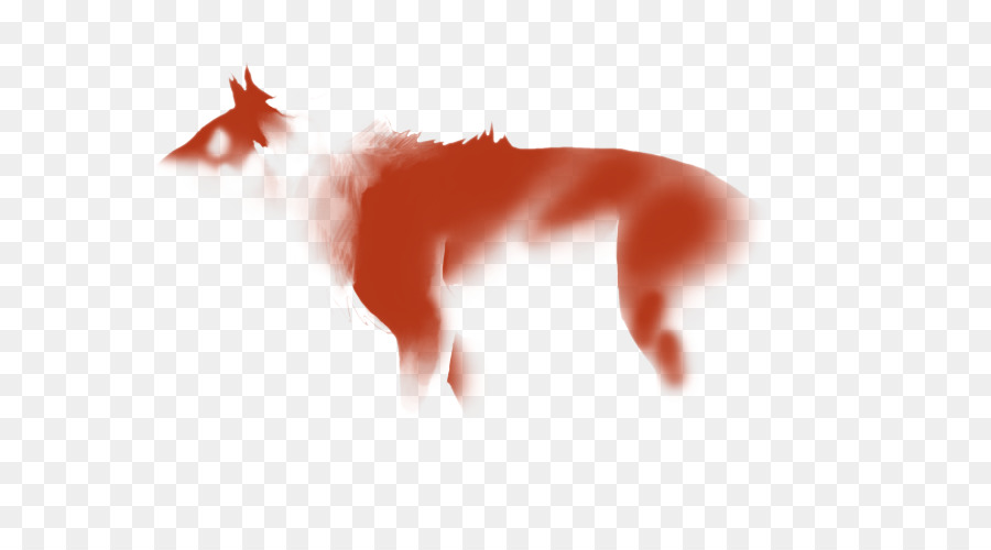 Canidae，Perro PNG