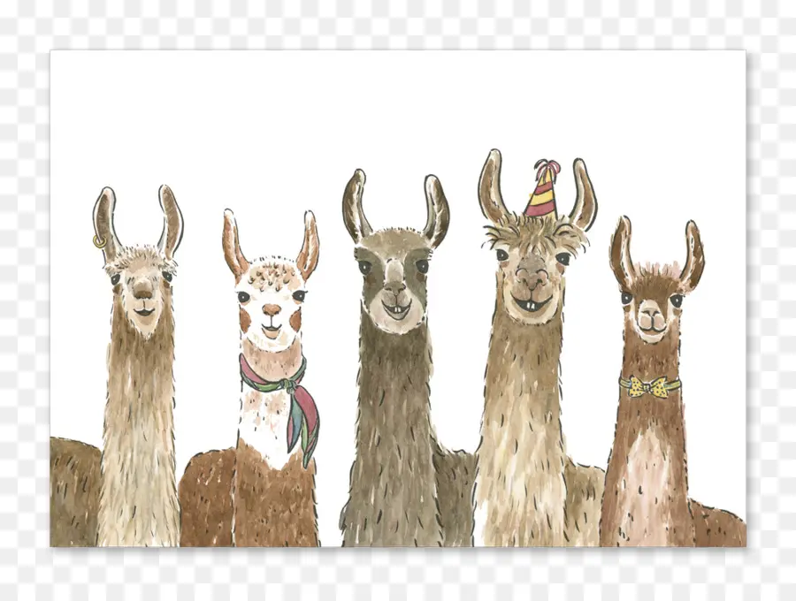 Llama，Alpaca PNG