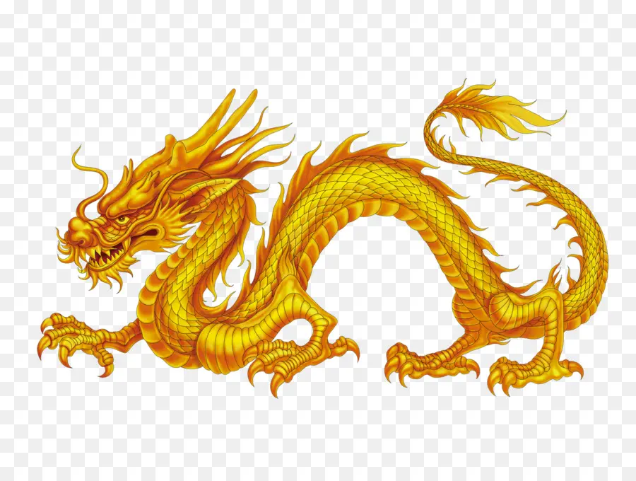 China，Dragón Chino PNG