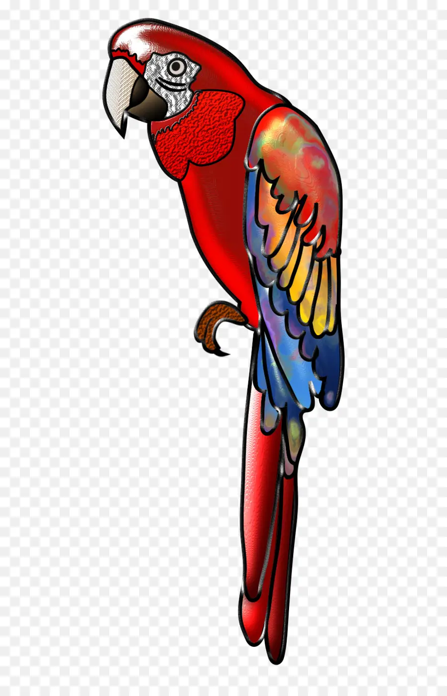 Guacamayo，Pájaro PNG