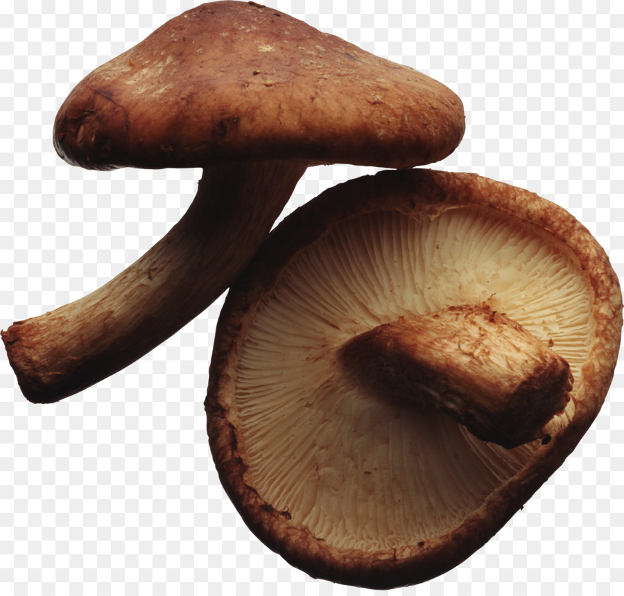 Shiitake，Cocina Vegetariana PNG