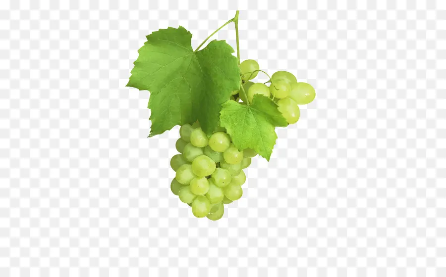 Uvas，Verde PNG