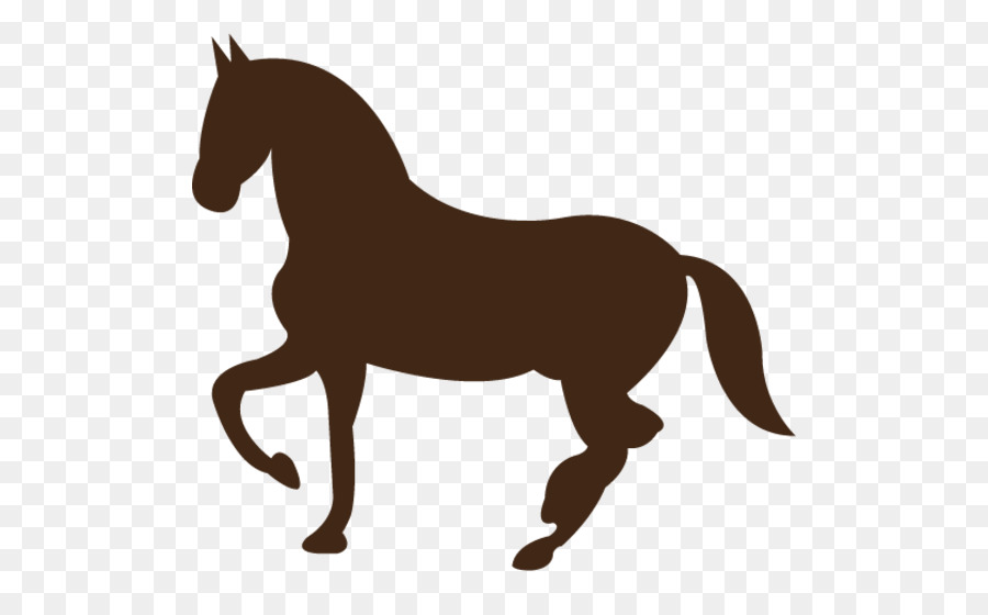 Caballo，Ecuestre PNG