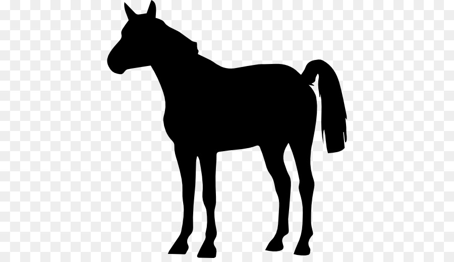 Caballo，Dibujo PNG