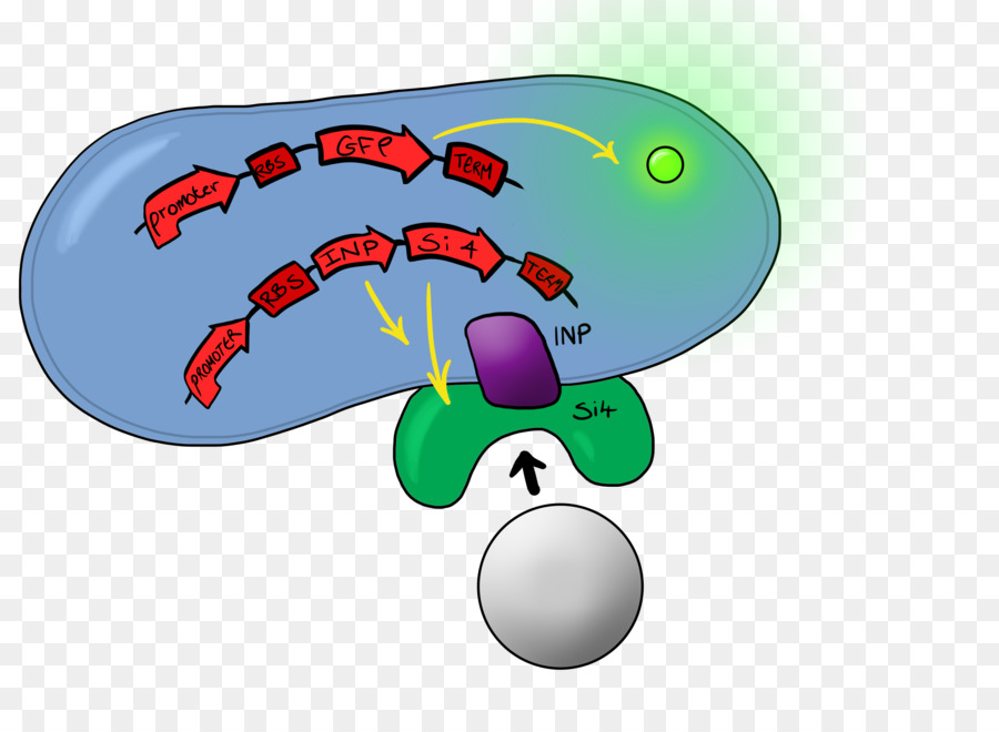 Tecnología，Computadora PNG