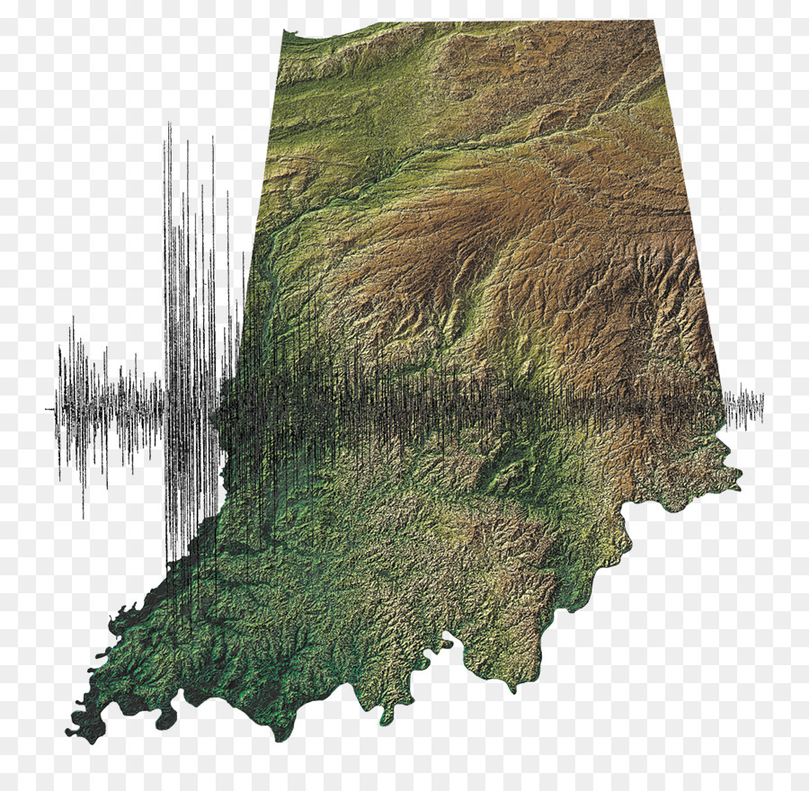 Indiana Elecciones De 2004，Legislatura Del Estado De PNG