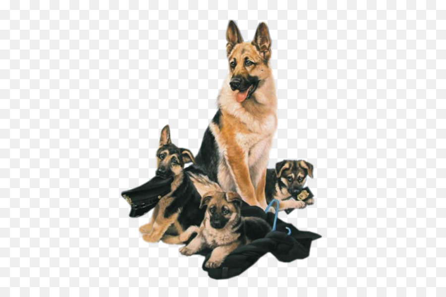 Perros，Cachorros PNG