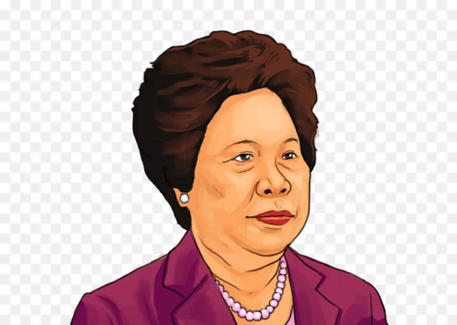 Mujer，Dibujos Animados PNG