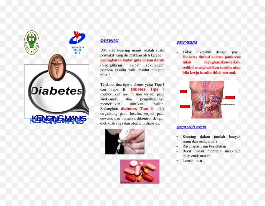 La Diabetes Mellitus，Folleto PNG