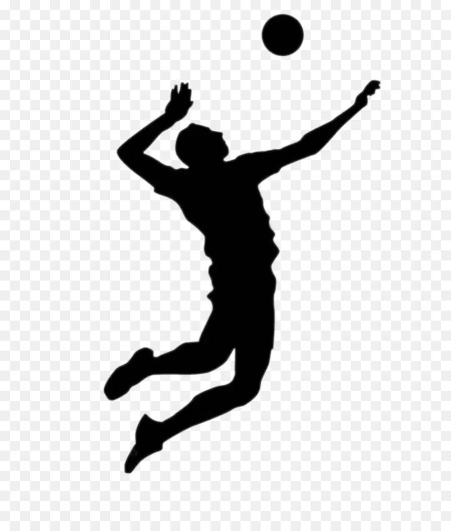 Sistema De Volley，Voleibol PNG