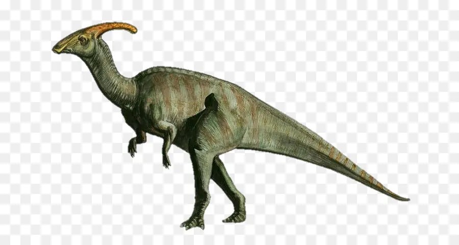 Parasaurolophus，Triceratops PNG