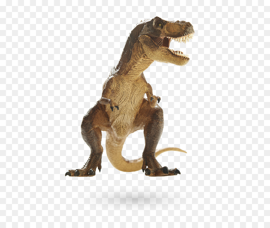 Tyrannosaurus，Una Fotografía De Stock PNG