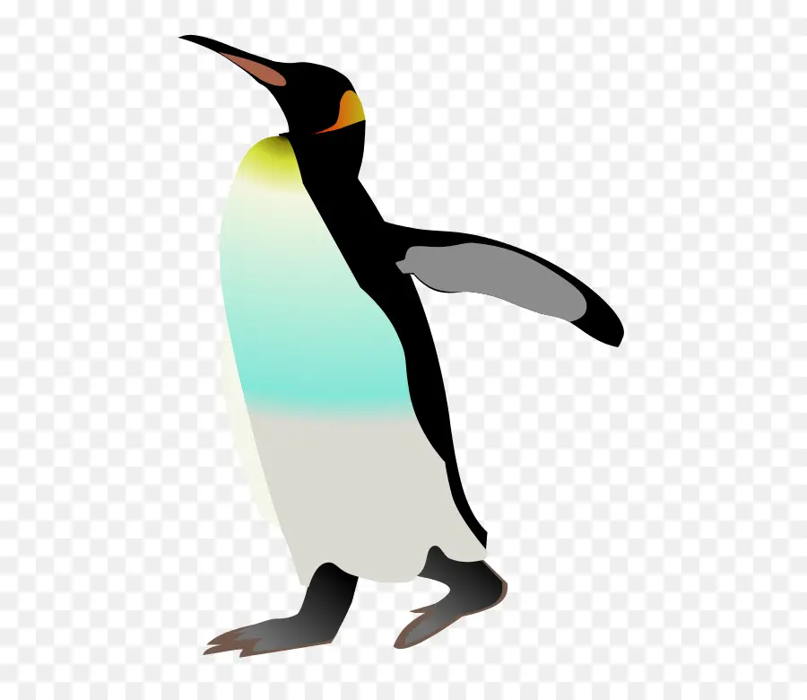 Pingüino，Pájaro PNG