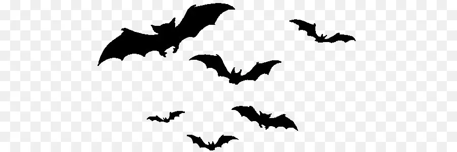 Halloween，Bat PNG