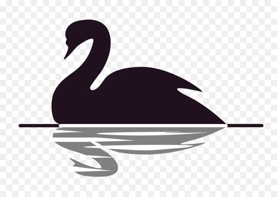 Black Swan El Impacto De Lo Altamente Improbable，Teoría Del Cisne Negro PNG