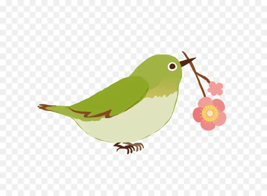 Pájaro，Flor PNG