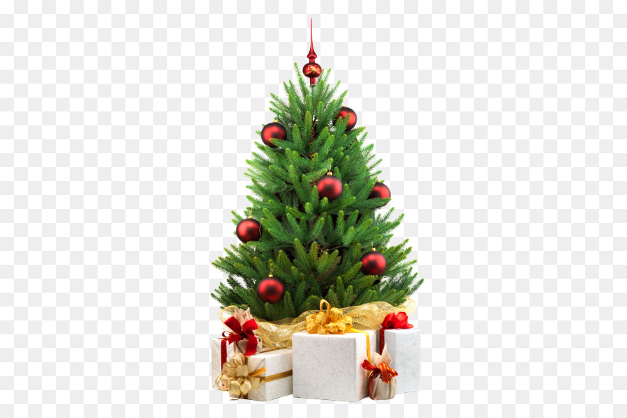 árbol De Navidad，Decoración De La Navidad PNG