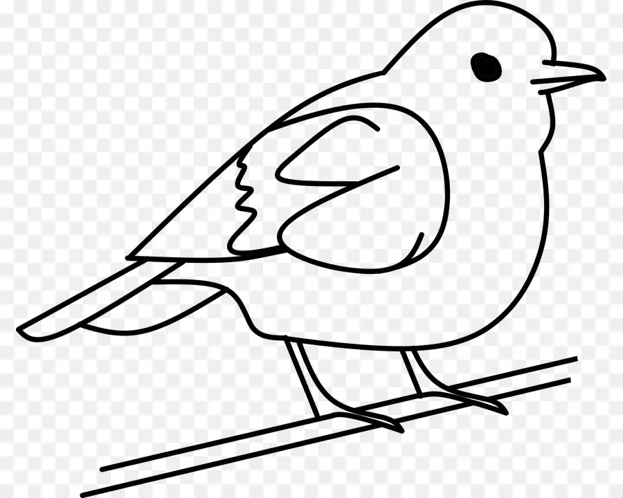 Pájaro，Arte Lineal PNG