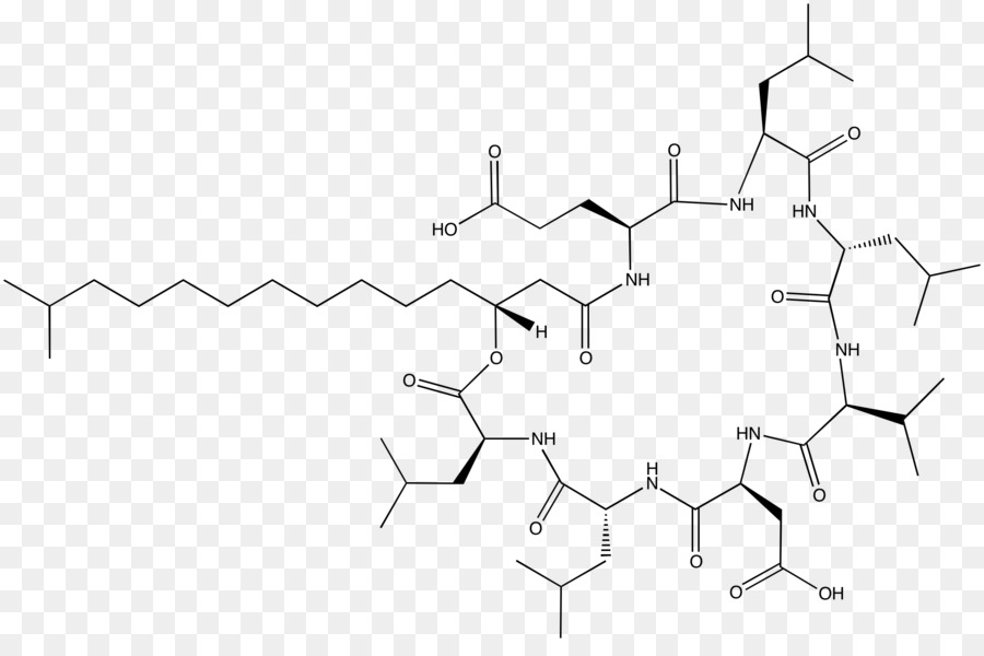 Estructura Química，Molécula PNG