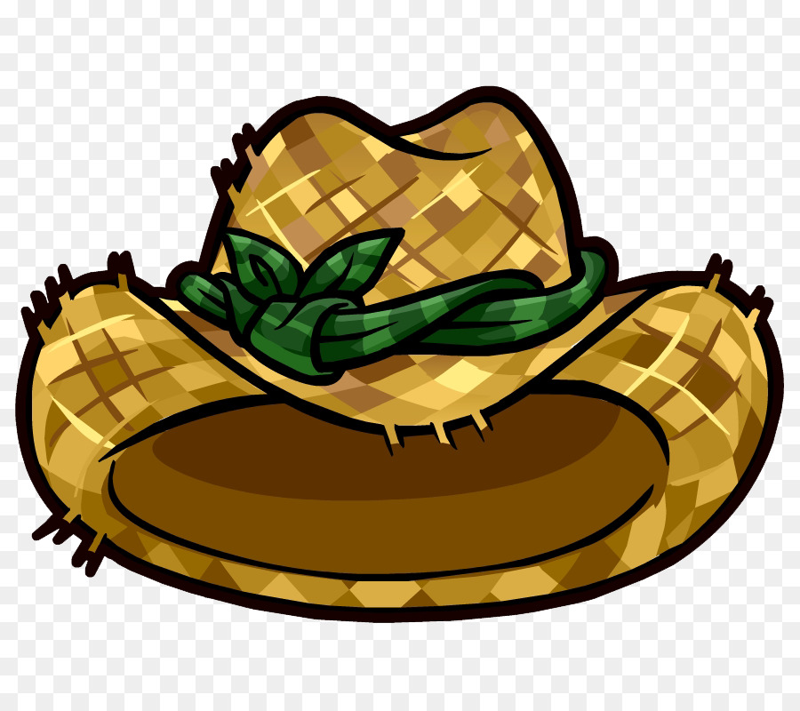 Sombrero De Paja，Sombrero PNG