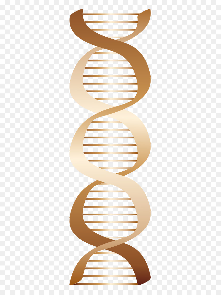 Adn，De ácidos Nucleicos PNG