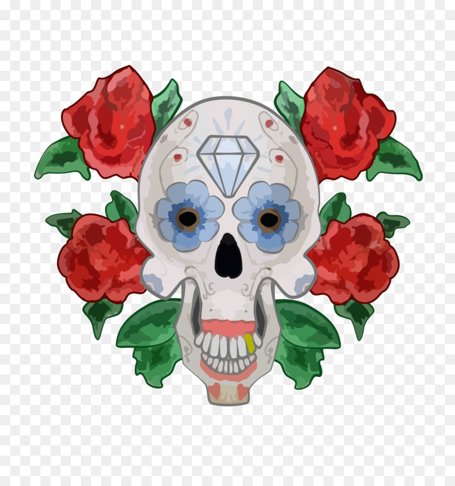 Calavera，Cráneo PNG