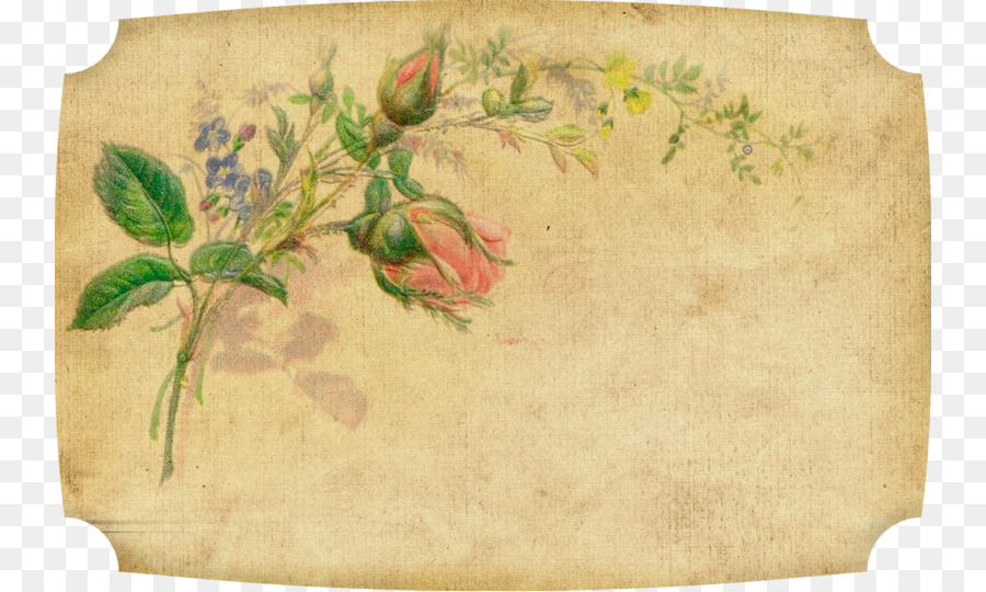 Tarjeta De La Vendimia，Floral PNG