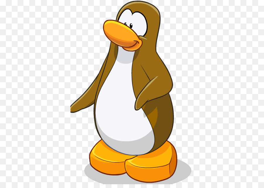 Pingüino，Pájaro PNG