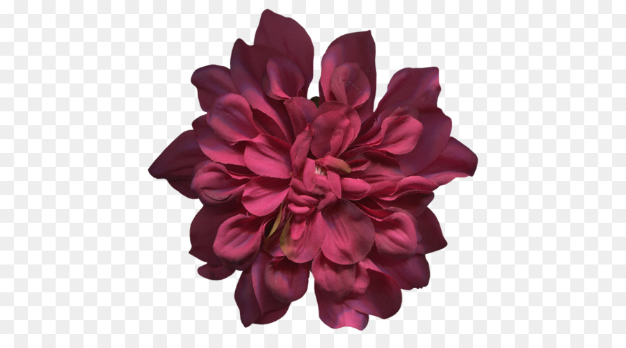 Flor Morada，Florecer PNG