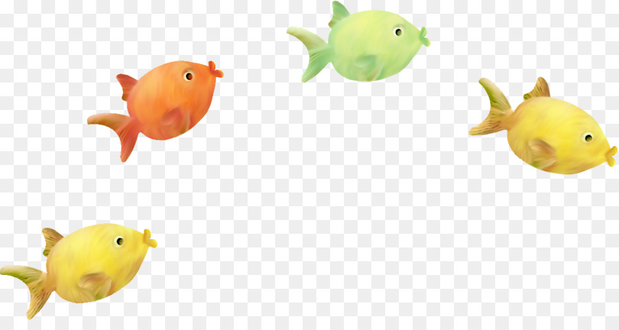 Los Peces，Peces De Colores PNG