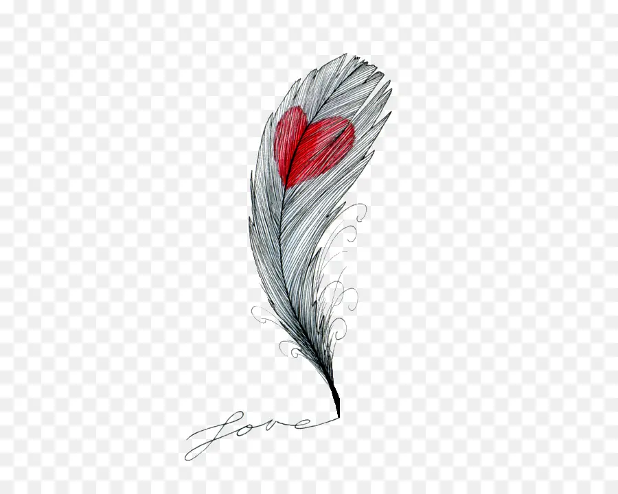 Pluma Con Corazón，Amar PNG