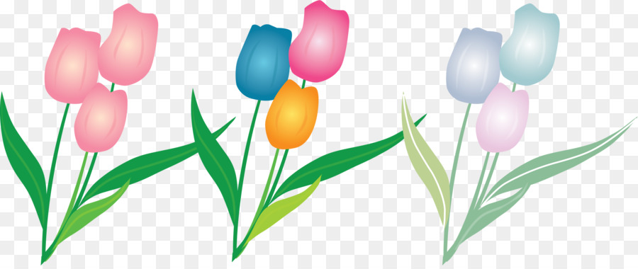 Tulip，Flor PNG