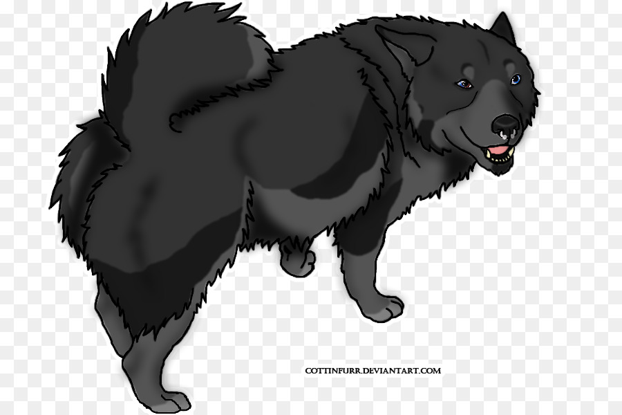 Raza De Perro，Schipperke PNG