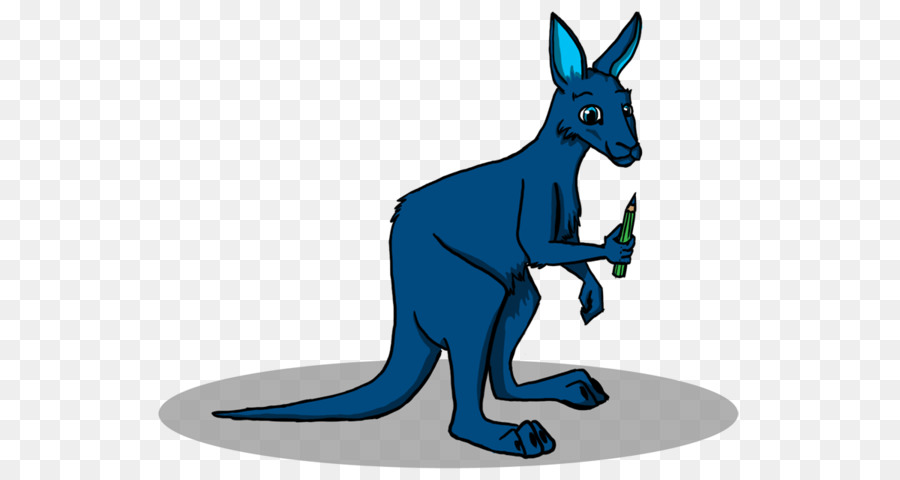 Canguro，Coala PNG