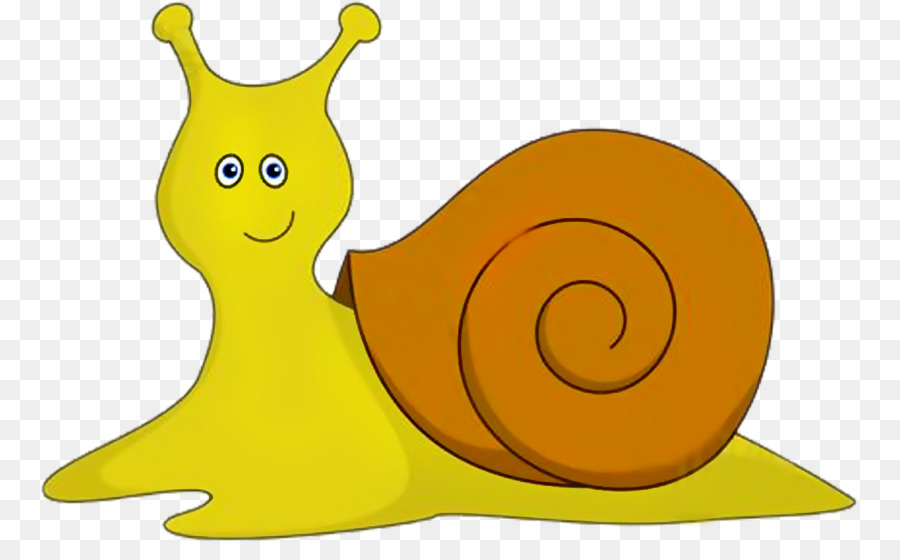 Caracol，Molusco PNG